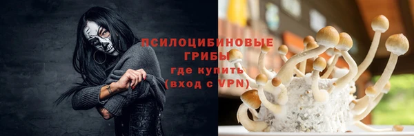 apvp Алексеевка