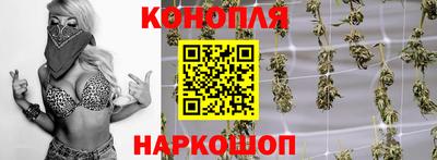 крисы Кунгур