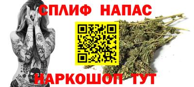 крисы Кунгур
