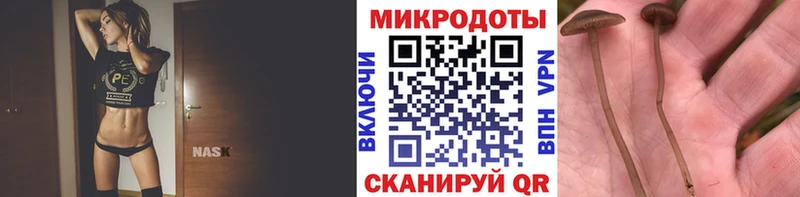 Галлюциногенные грибы Cubensis  Ишим 