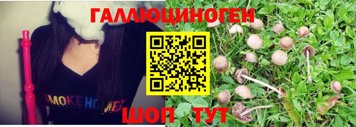 Ишим  Галлюциногенные грибы MAGIC MUSHROOMS  как найти закладки  Вход с VPN 