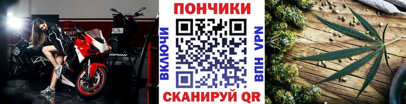 продажа наркотиков  Ишим  Бошки Шишки Amnesia 