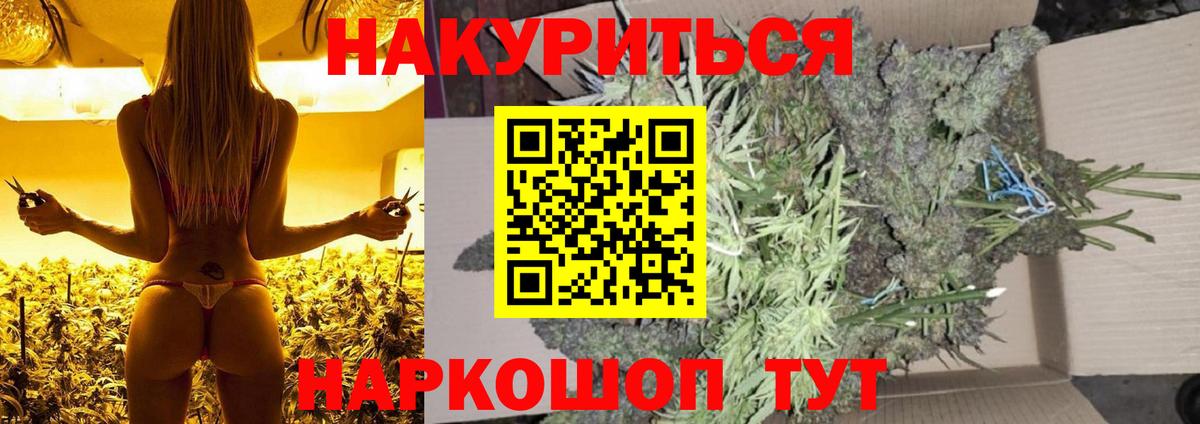 Бошки Шишки планчик Ишим